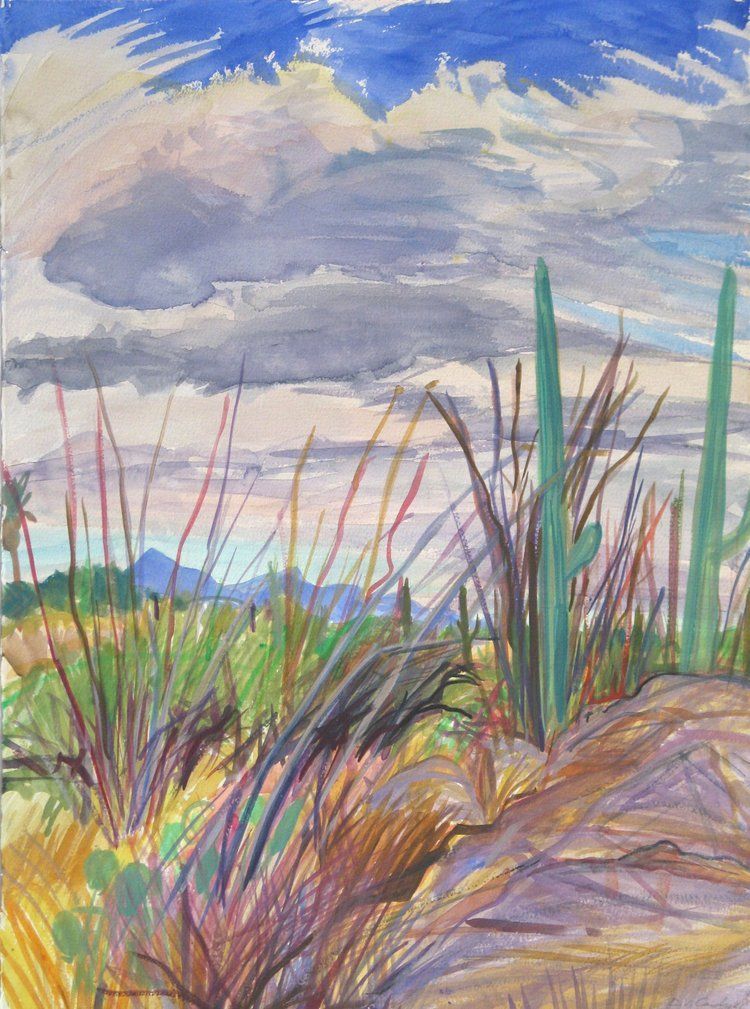Desert landscape with cacti, scrub, and cloudy sky