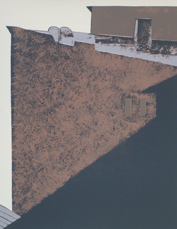 Brown textured wall with shadow