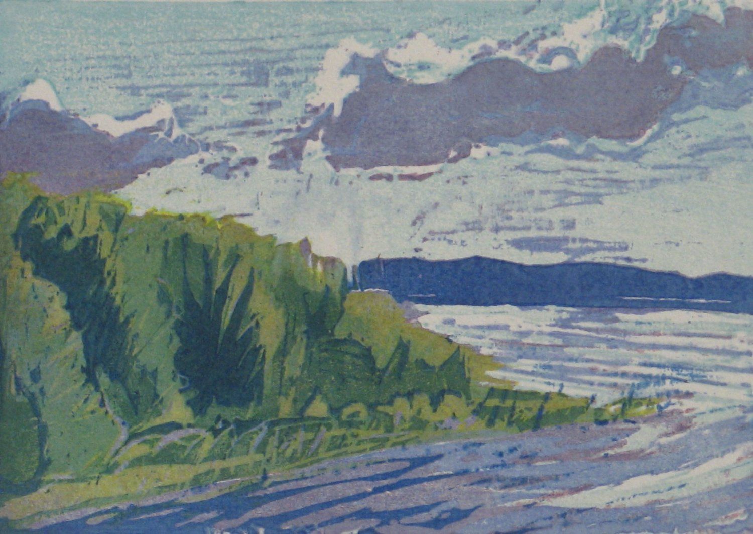 Lush green trees on a shoreline