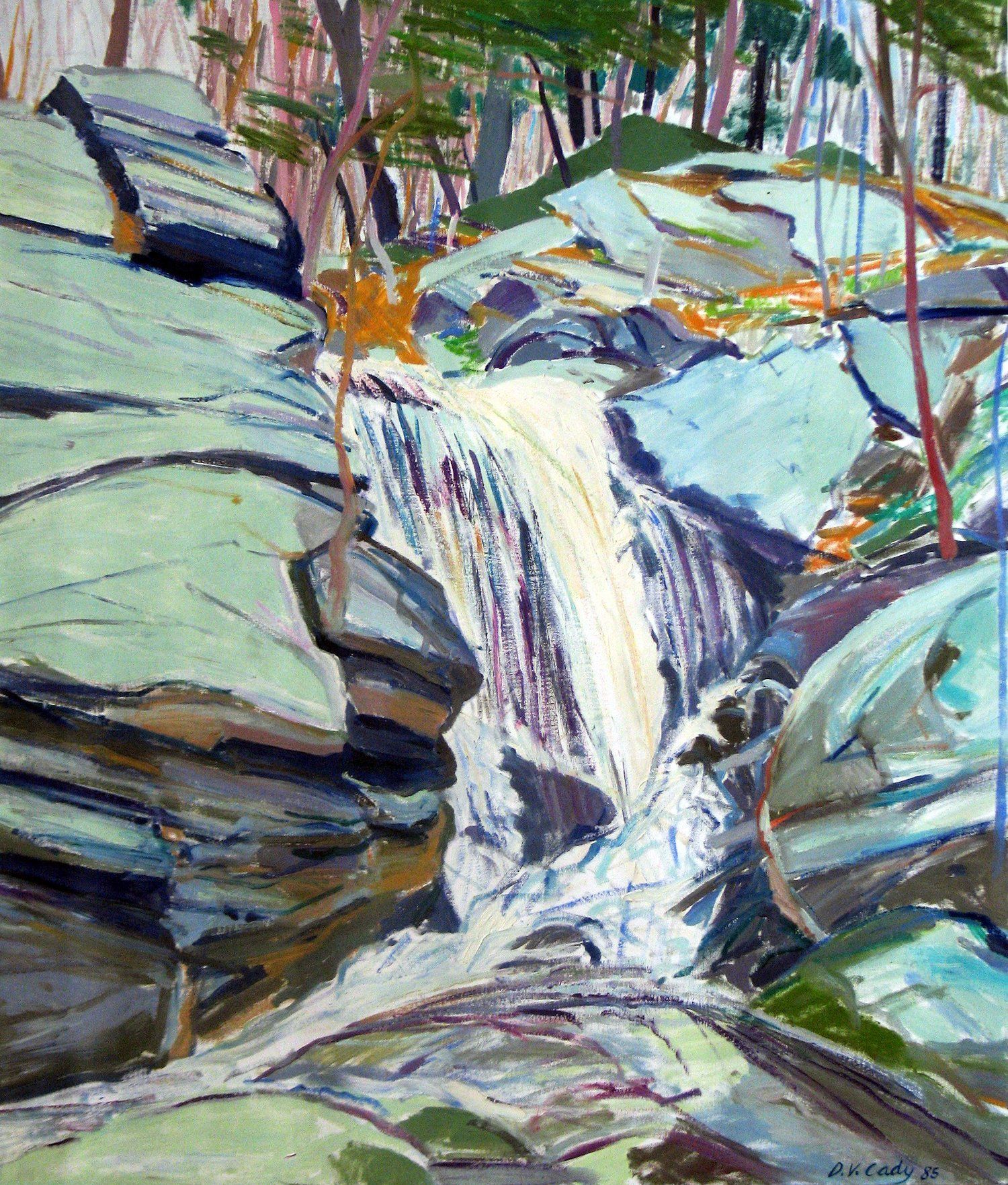 Waterfall cascading over rocks in a forest