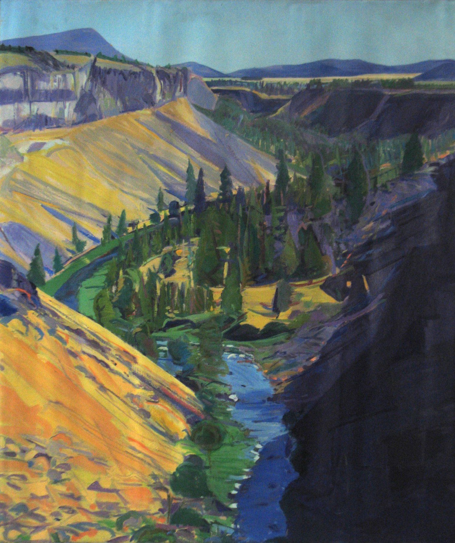 Canyon landscape with a river