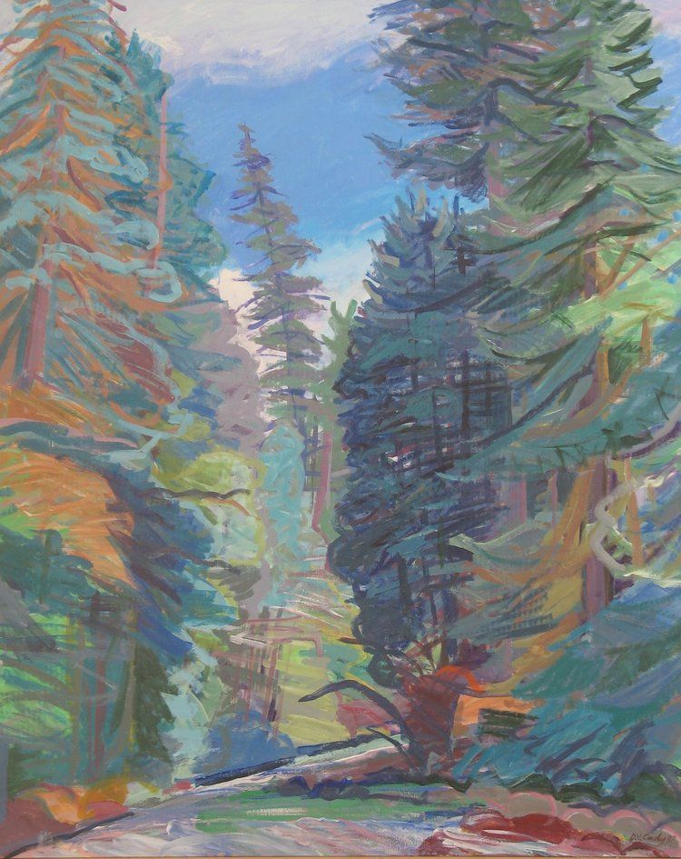 Forest path with tall evergreen trees and a bright blue sky