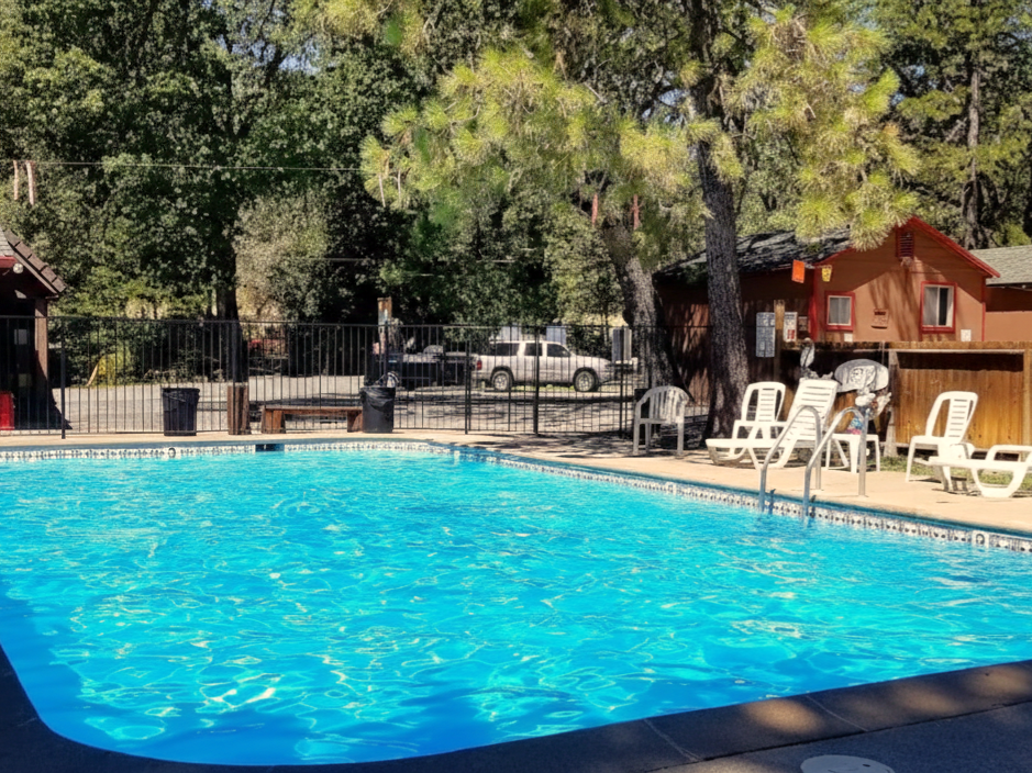Swimming pool with blue water next to lounge chairs and a wooden building, a black fence, and a truck.