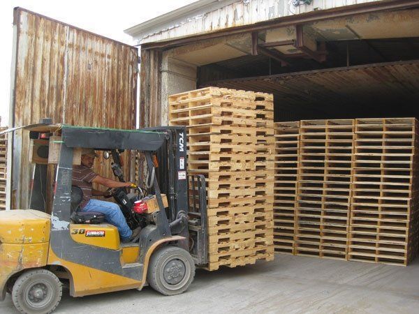 Man Operating Forklift — Houston, TX — Cougar Pallet Inc