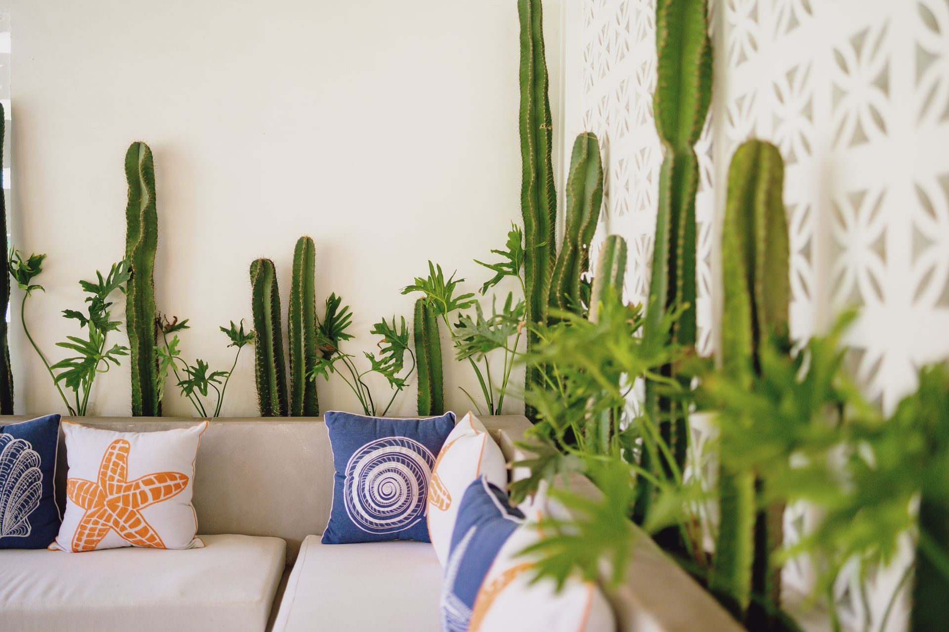 A living room with a couch , pillows and cactus on the wall.