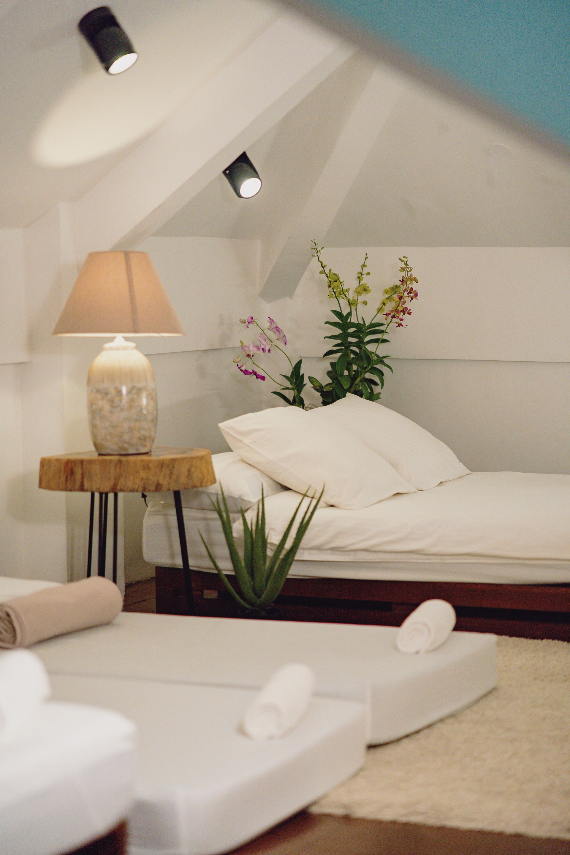 A room with two beds , a lamp , and a plant.