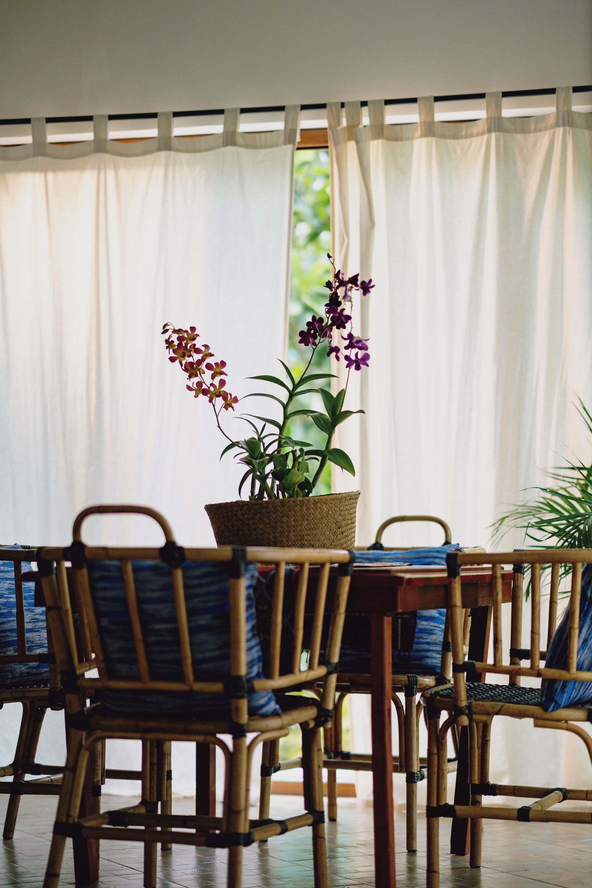 A dining room with a table and chairs and a potted plant on the table.