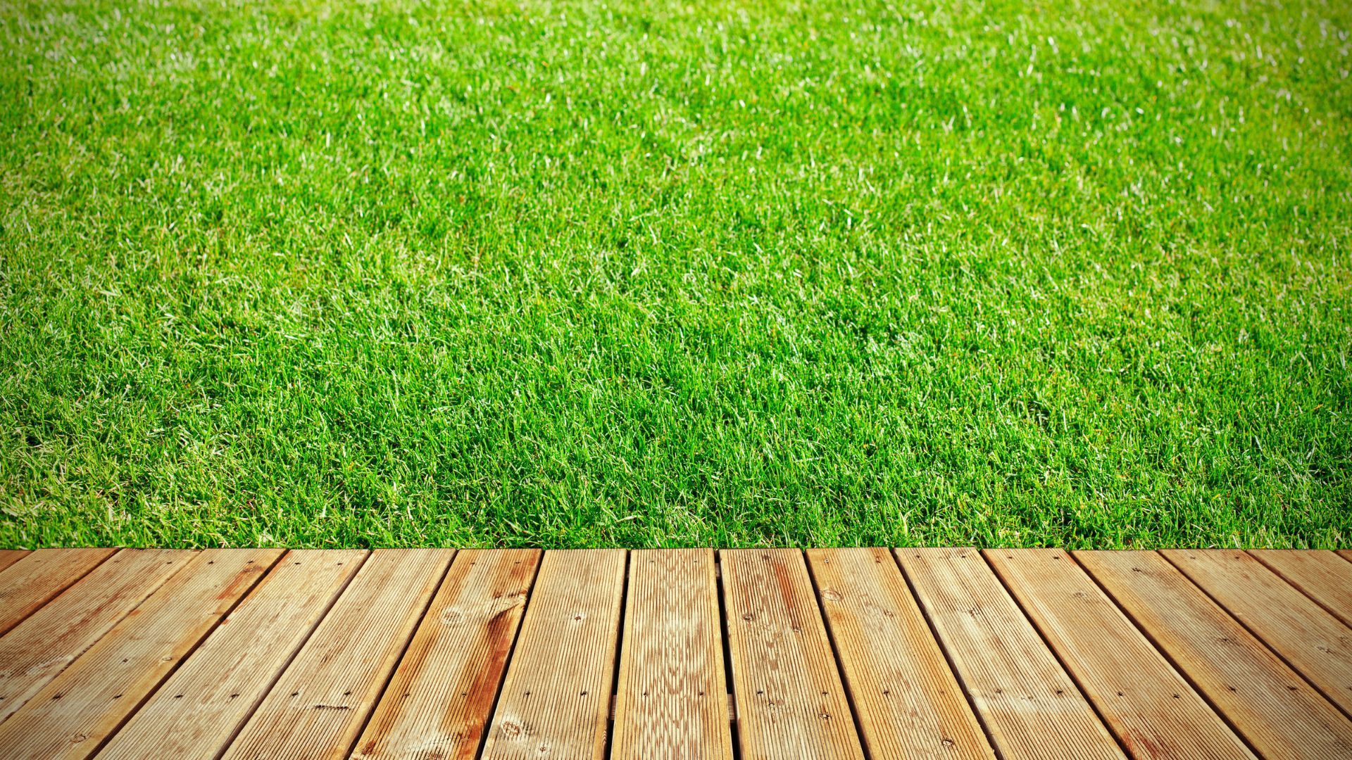 Wooden deck overlooking a lush green lawn in Lexington, KY.