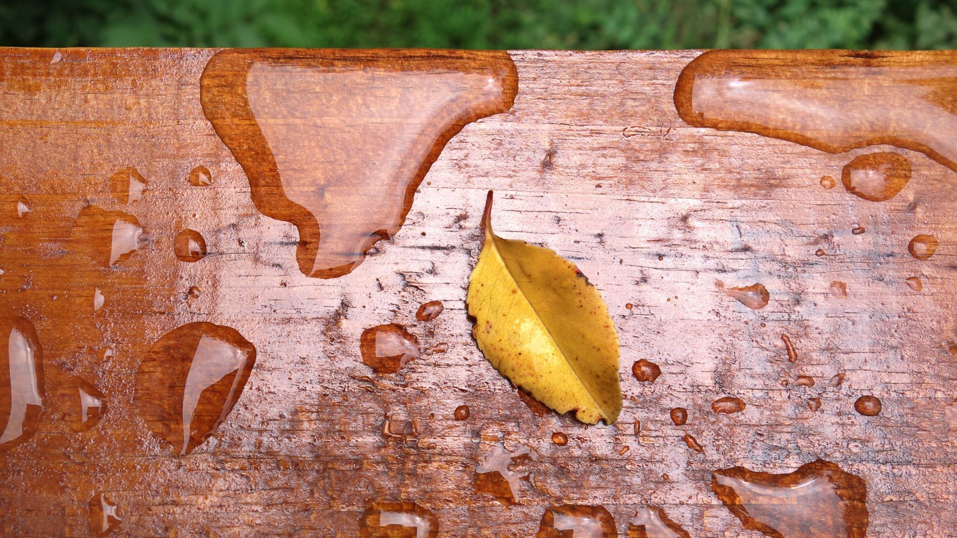 A wet wooden deck with a yellow leaf, showing water droplets after rain in Lexington, KY.