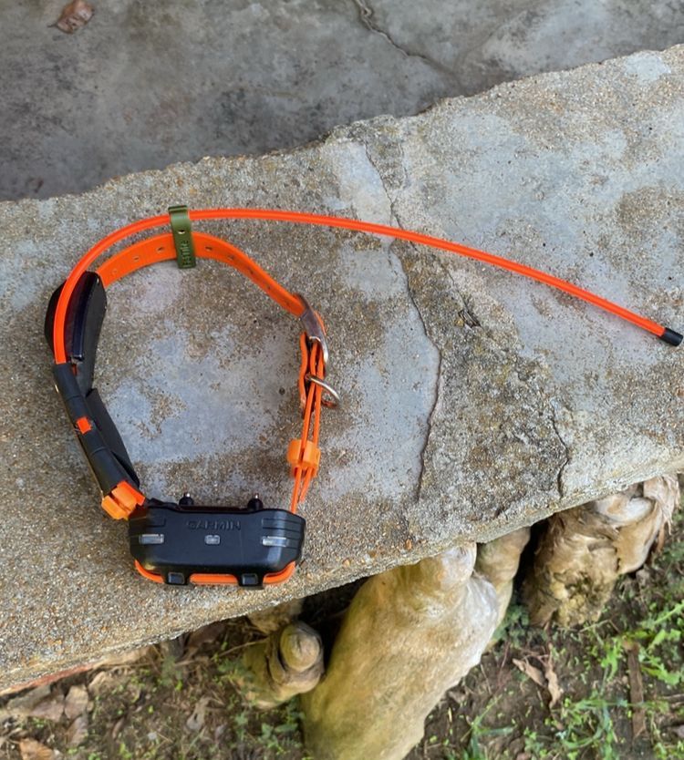 lester's stiktite on collar