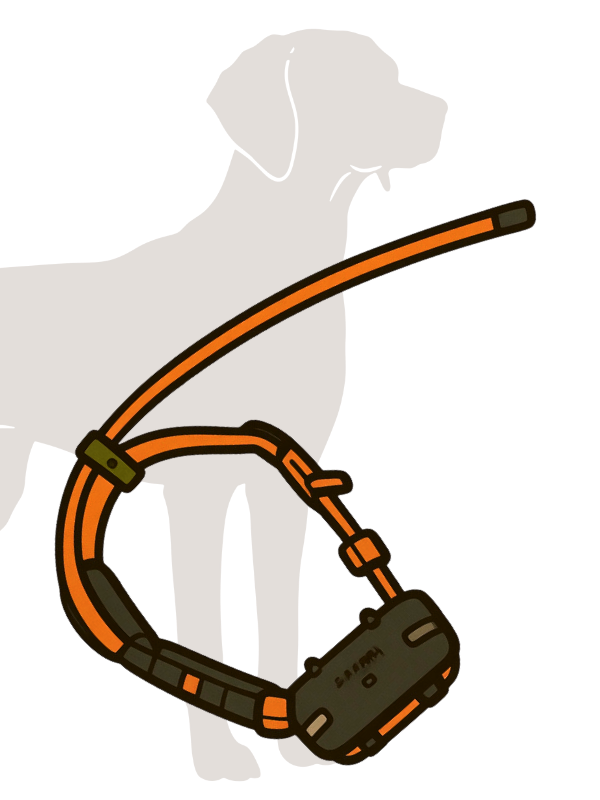 lester's stiktite dog collar graphic