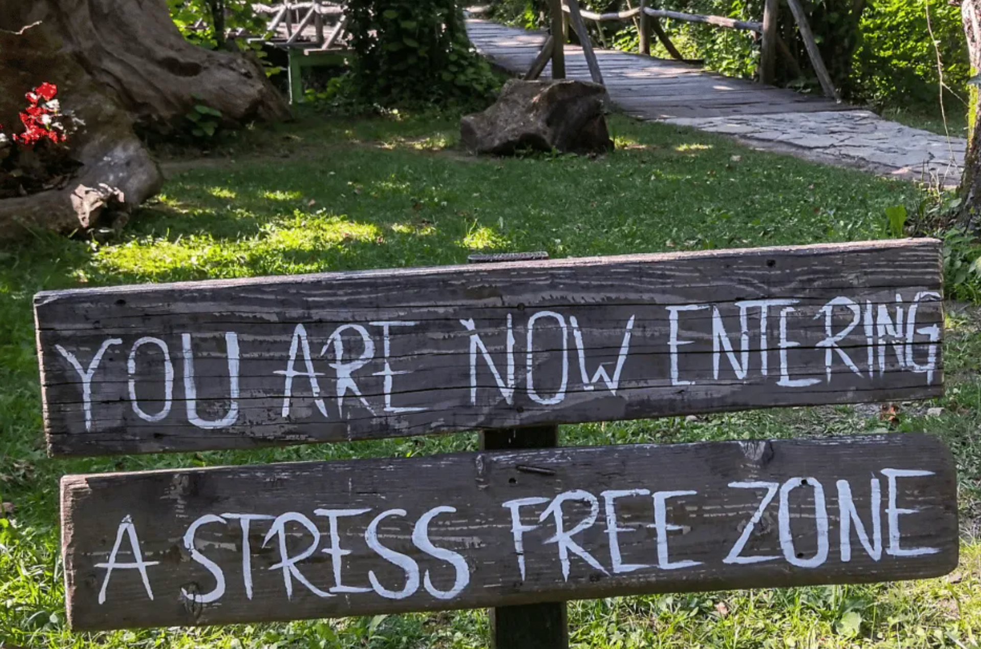 stress free zone image