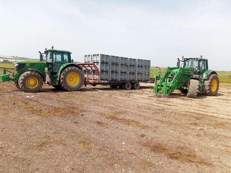 Due trattori verdi trainano un rimorchio in un campo sterrato.