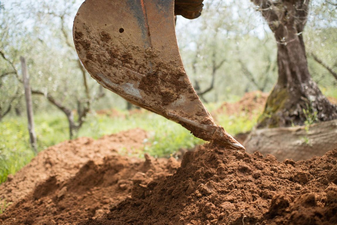 Una persona sta scavando una buca nel terreno con una pala.