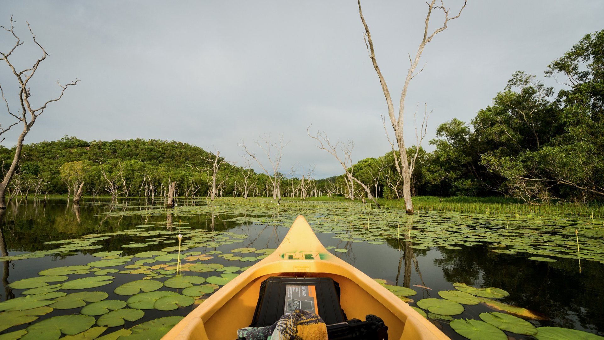 A yellow kayak is floating on a lake surrounded by lily pads.
