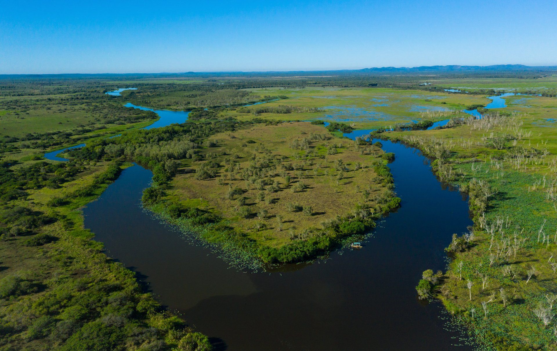 An aerial view of a river flowing through a lush green swamp.