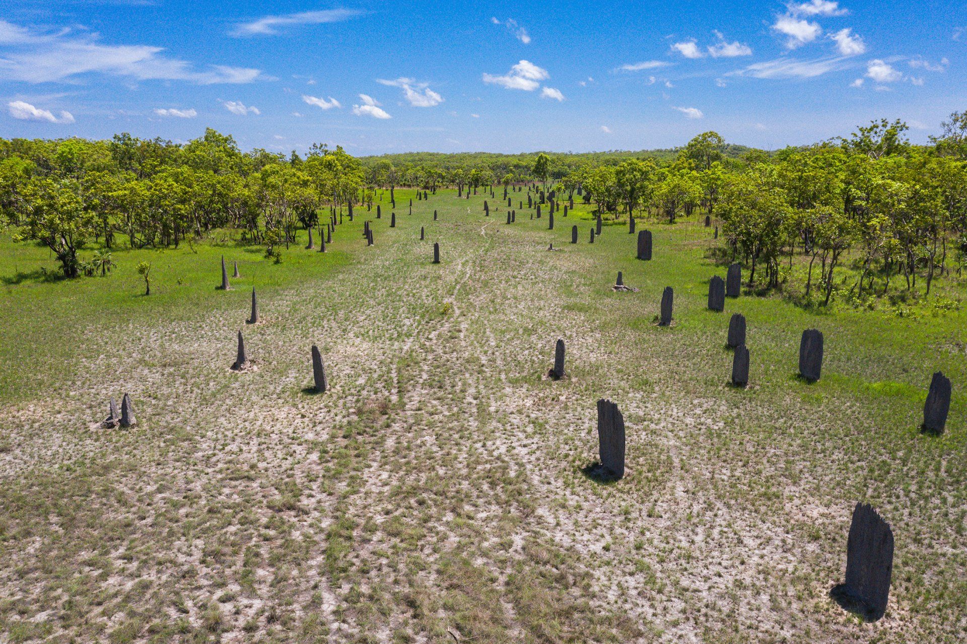 An aerial view of a cemetery with graves in the middle of a field.