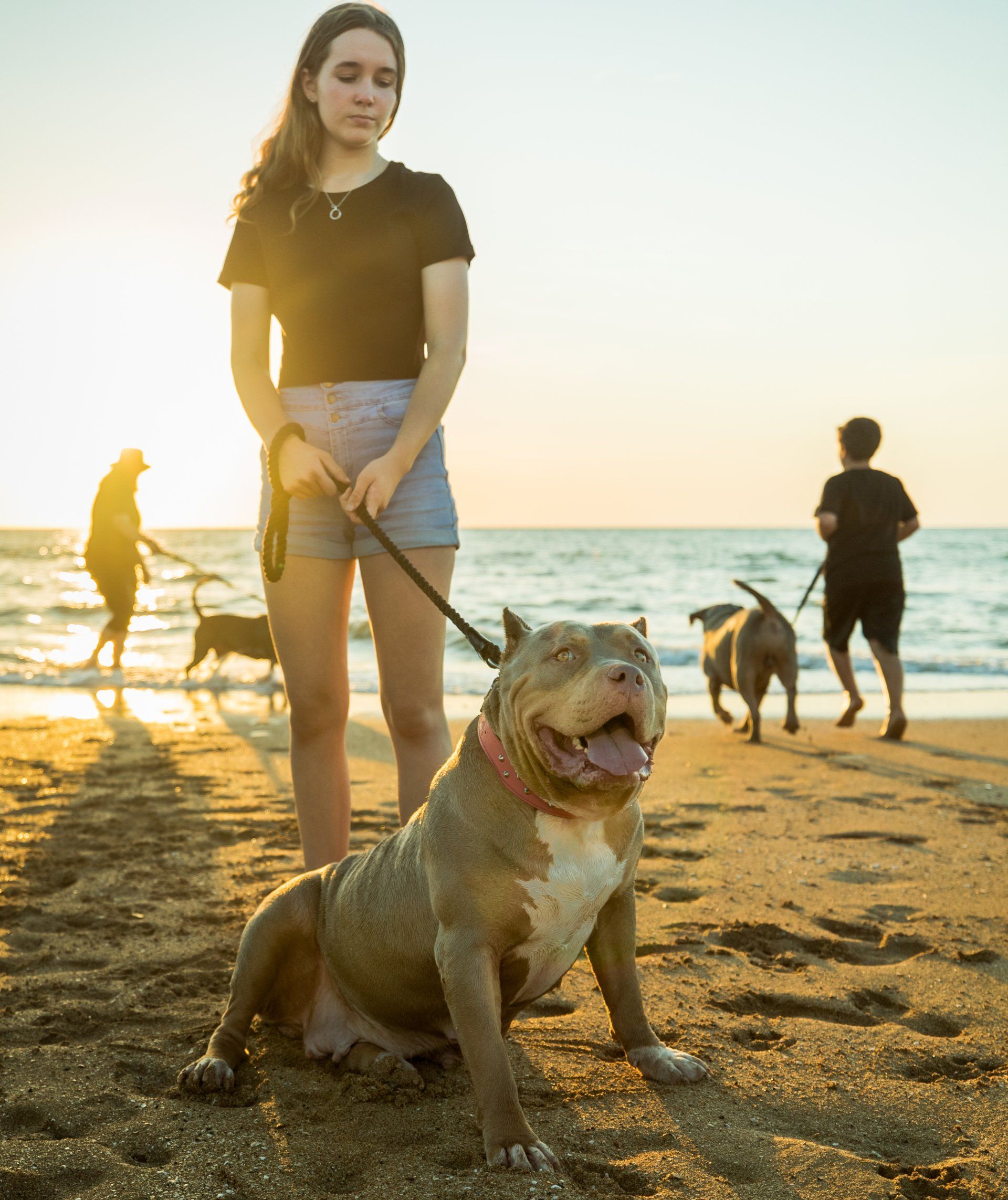 A woman is walking a dog on a leash on the beach.