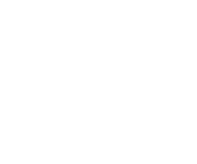 Empty white background.