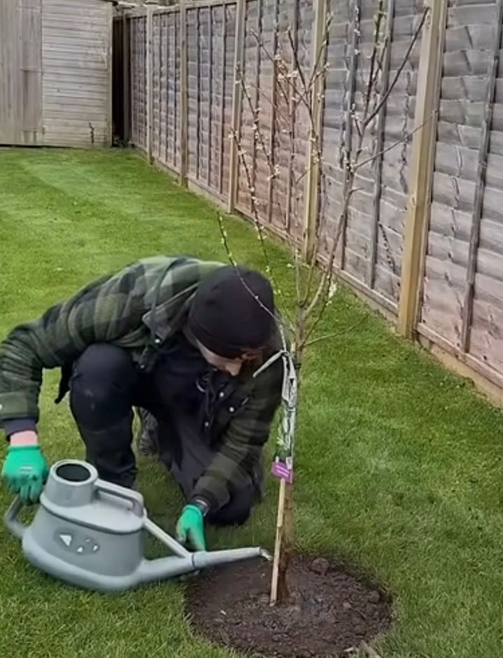 plantma