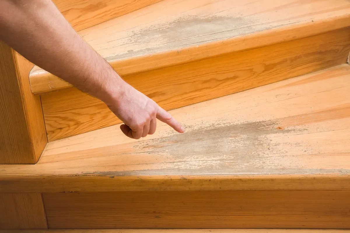 Finger pointing toward a badly scratched wood floor.