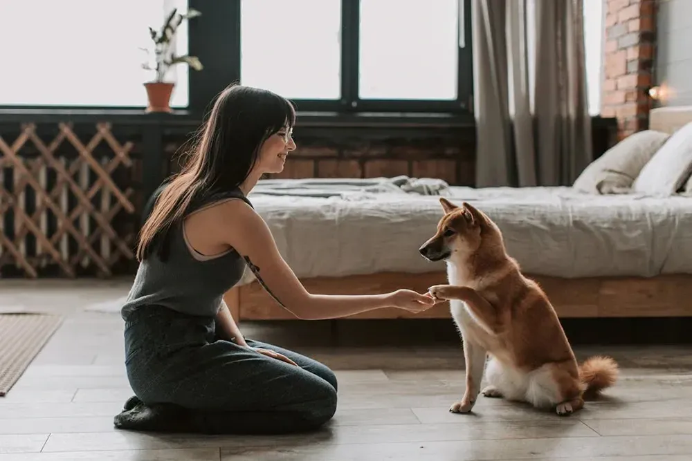 Woman sitting on a bedroom floor while playing with her dog.