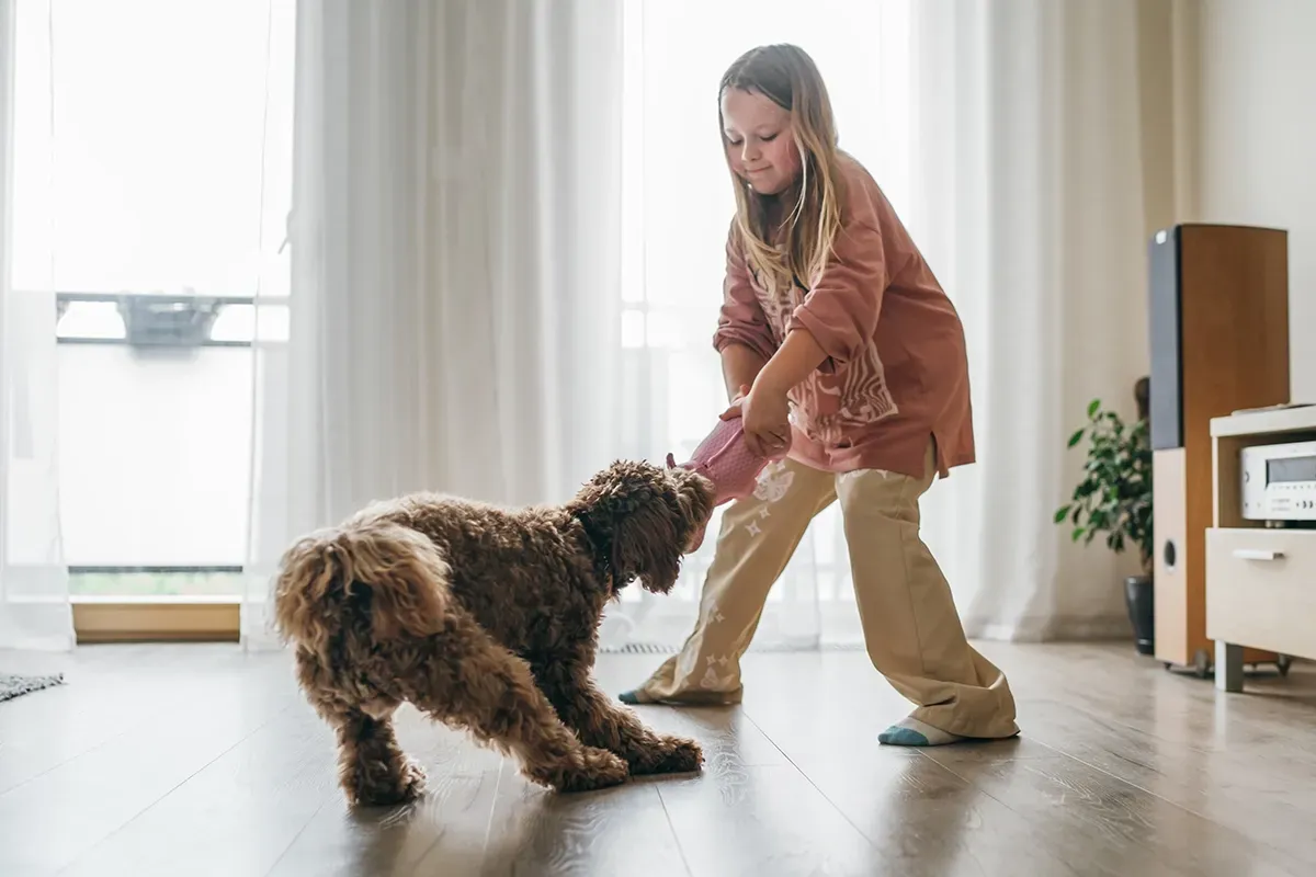 Child and her dog playing inside of an apartment causing scratches on Birch floors. 