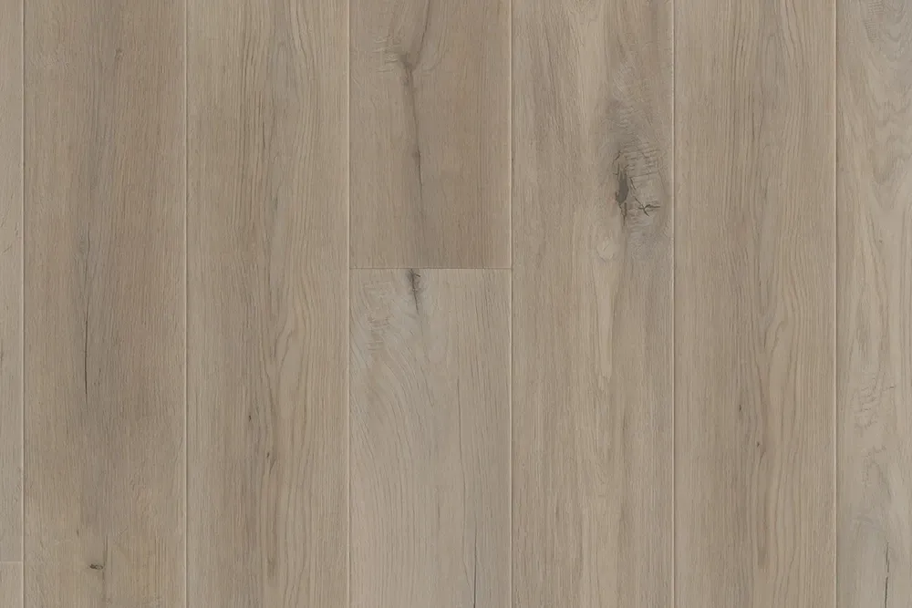 Detailed view of Evoke Flooring, Collection: Canyon, Camden model, laminate.