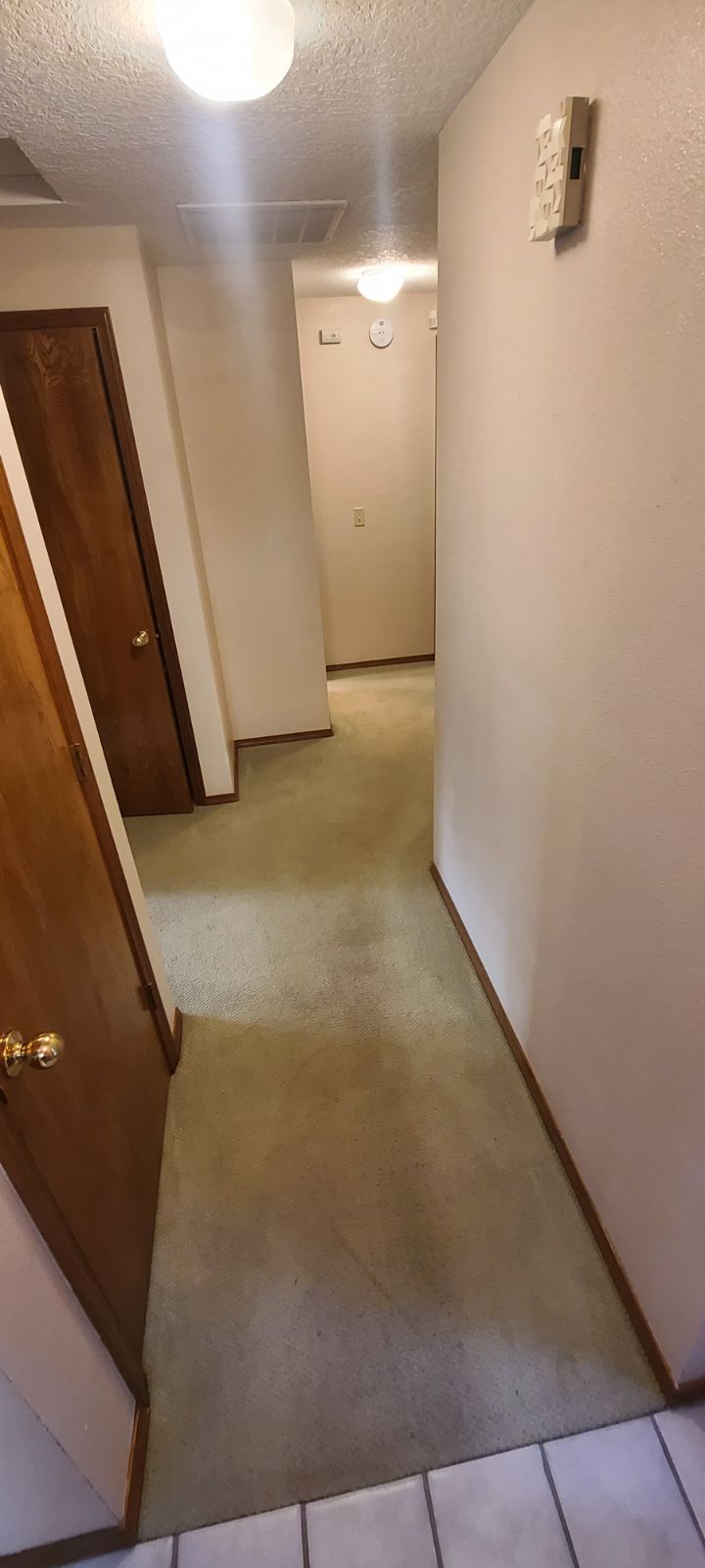 Hallway with carpet.
