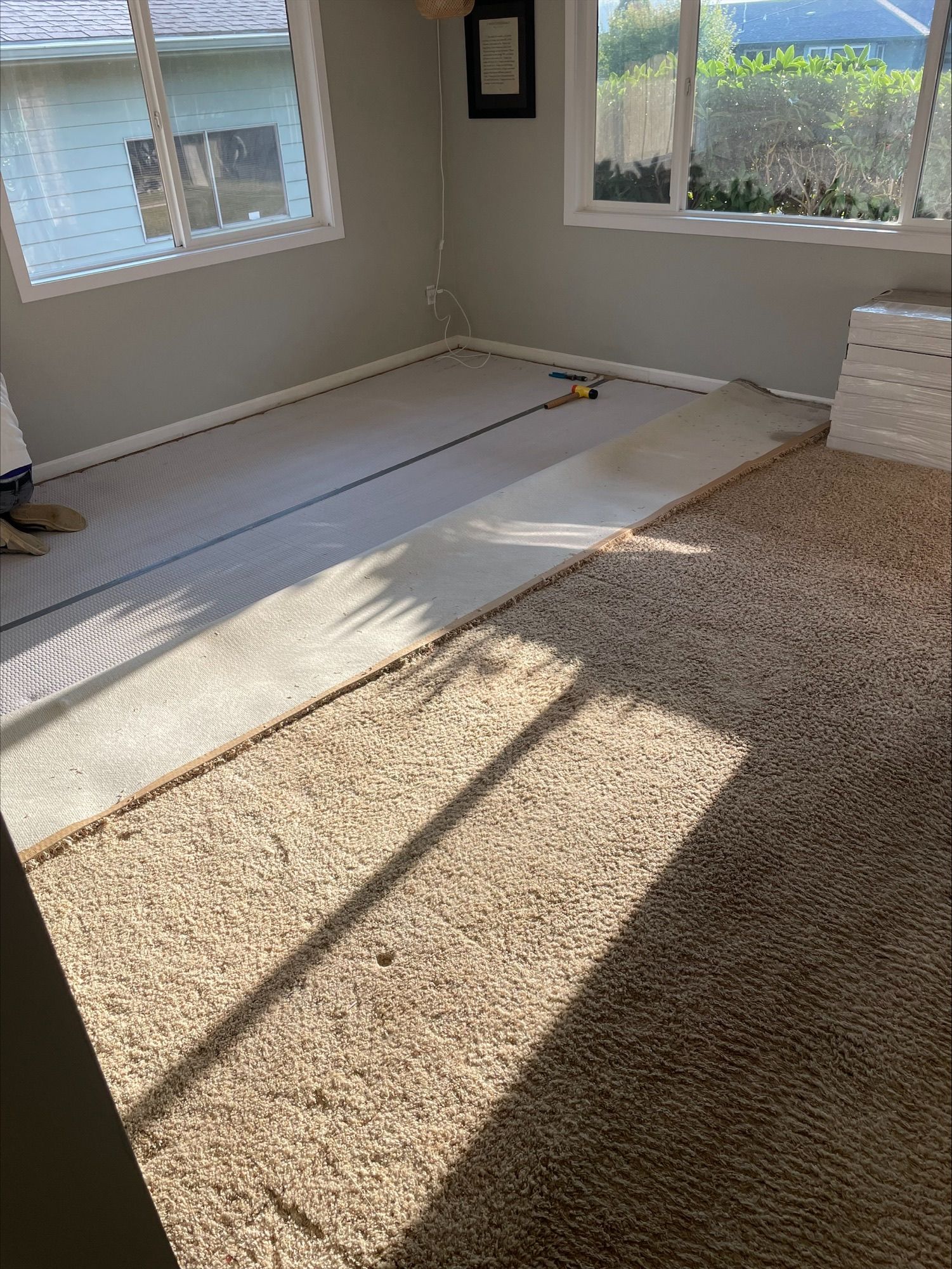 Carpet in a room before removal.