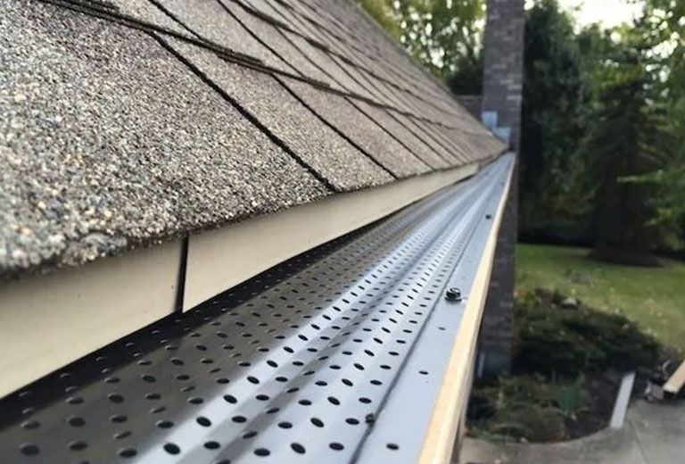 Close-up of a house gutter with a metal mesh guard, under a roof with asphalt shingles.