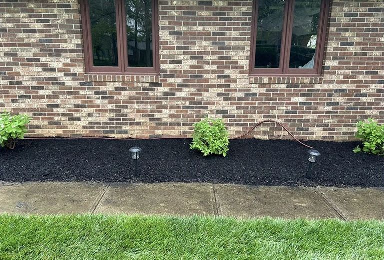 Brick house with black mulch, green bushes, two spotlights, and a concrete walkway.