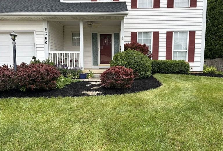 A white house with red shutters, burgundy bushes, and green grass.