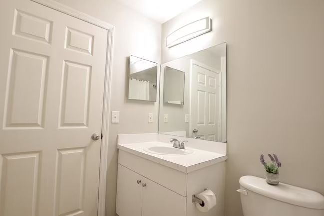 A bathroom with a sink , toilet and mirror.