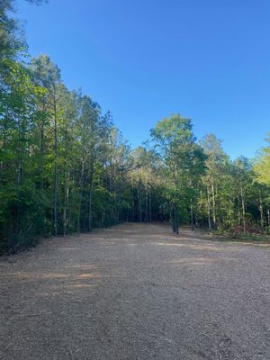 A dirt road in the middle of a forest with trees on both sides.