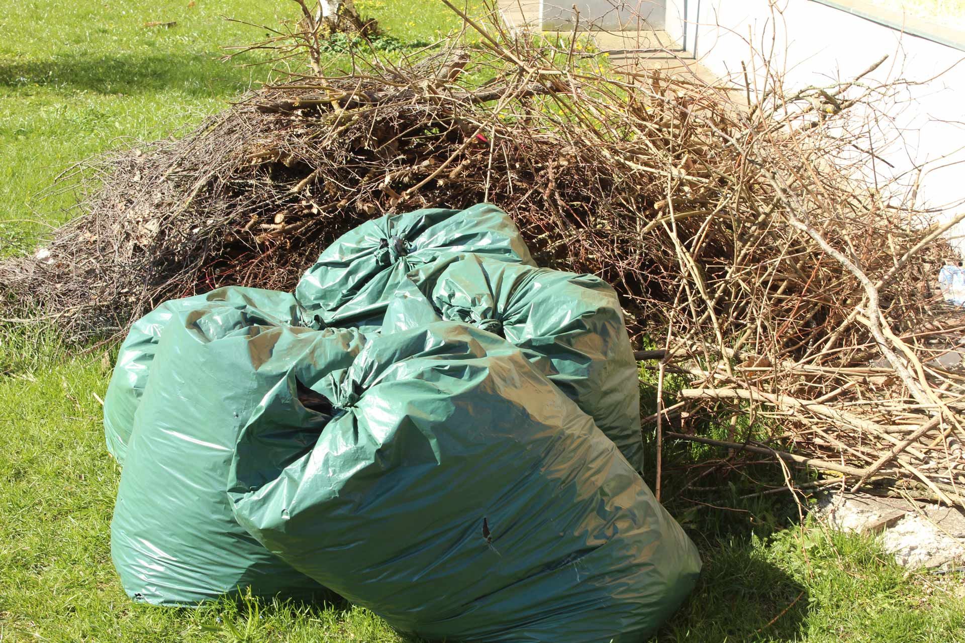 Green yard-waste bags beside a pile of branches and brush on grass near a house