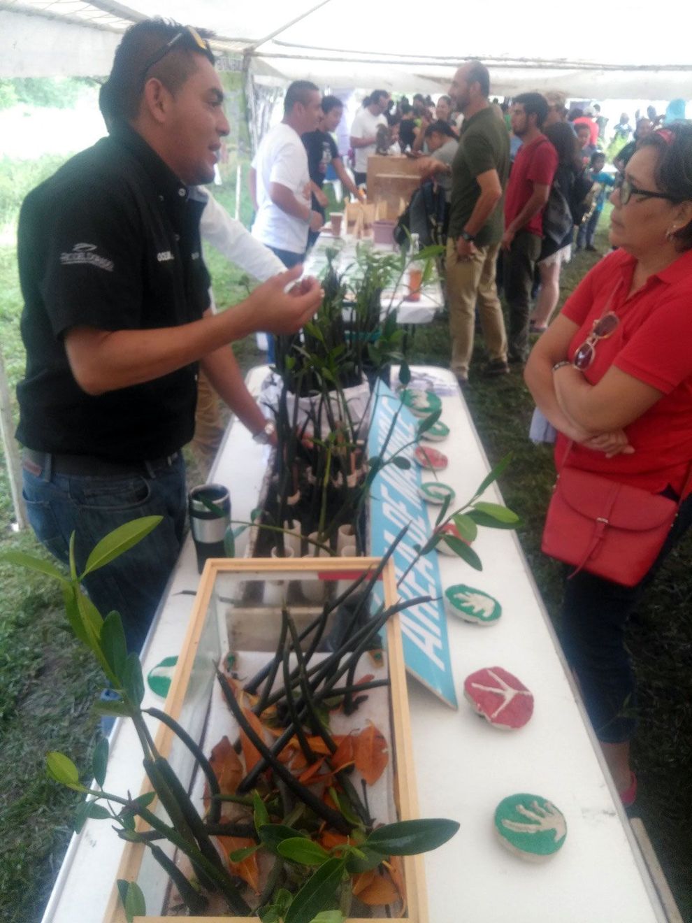 equipo de consultoría ambiental en campo