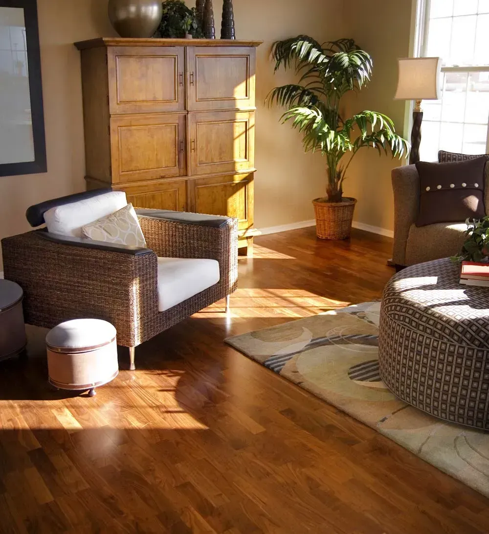 Cozy living room with wood floors, woven chairs, potted plant, and natural light.
