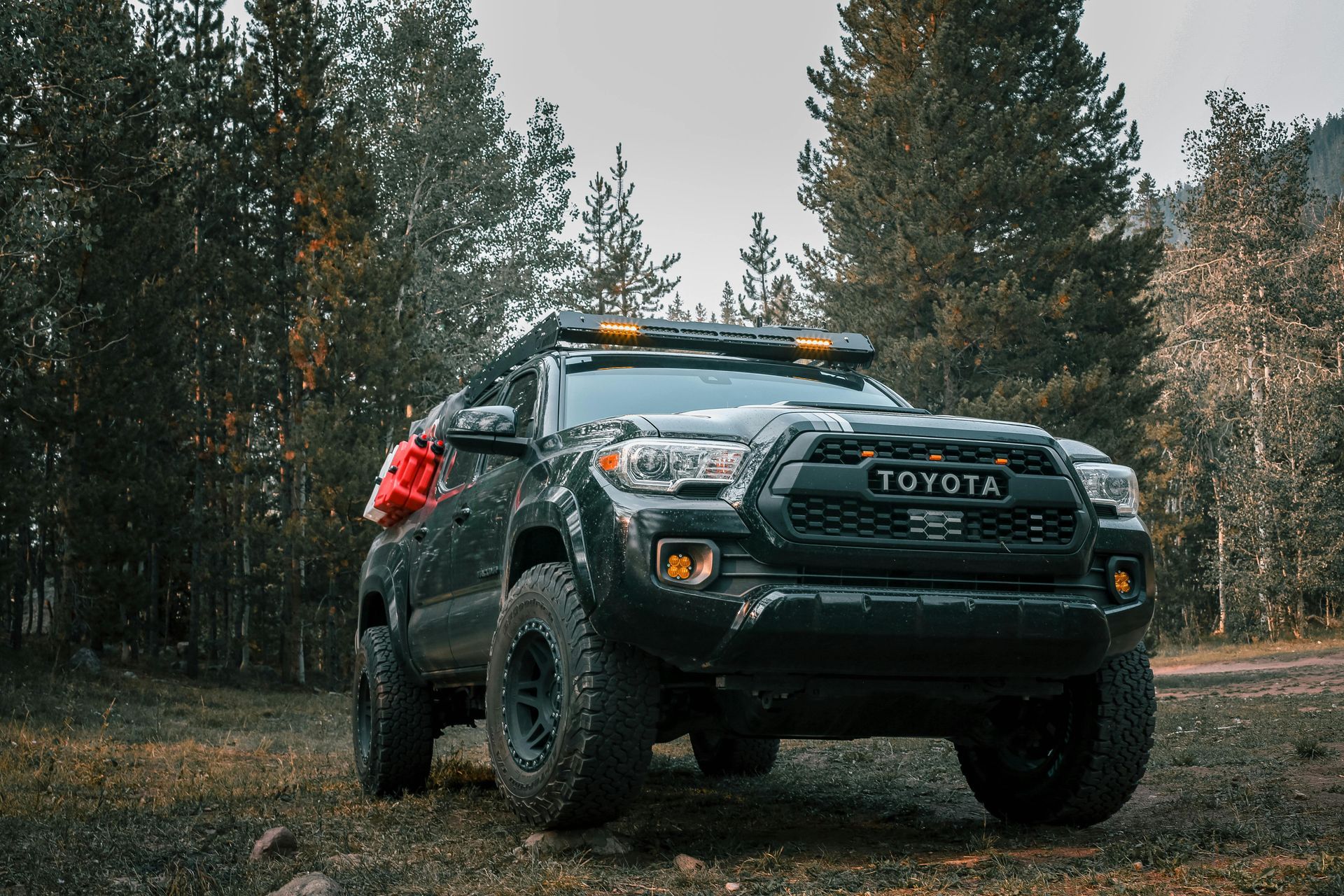 A black toyota tacoma truck is parked in the middle of a forest.