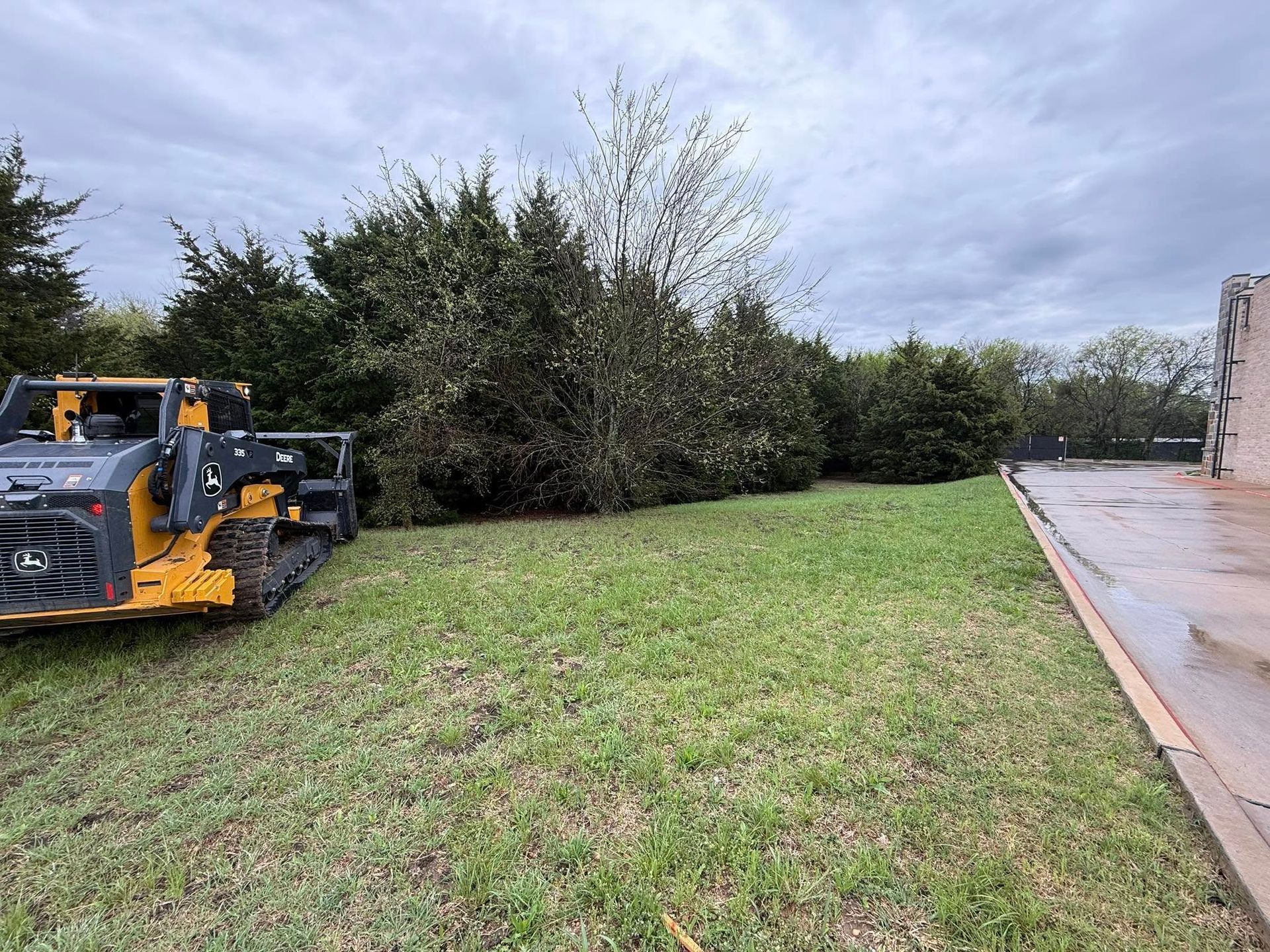 A yellow and black skid steer on a grassy area clearing land near a row of green bushes under a cloudy sky.