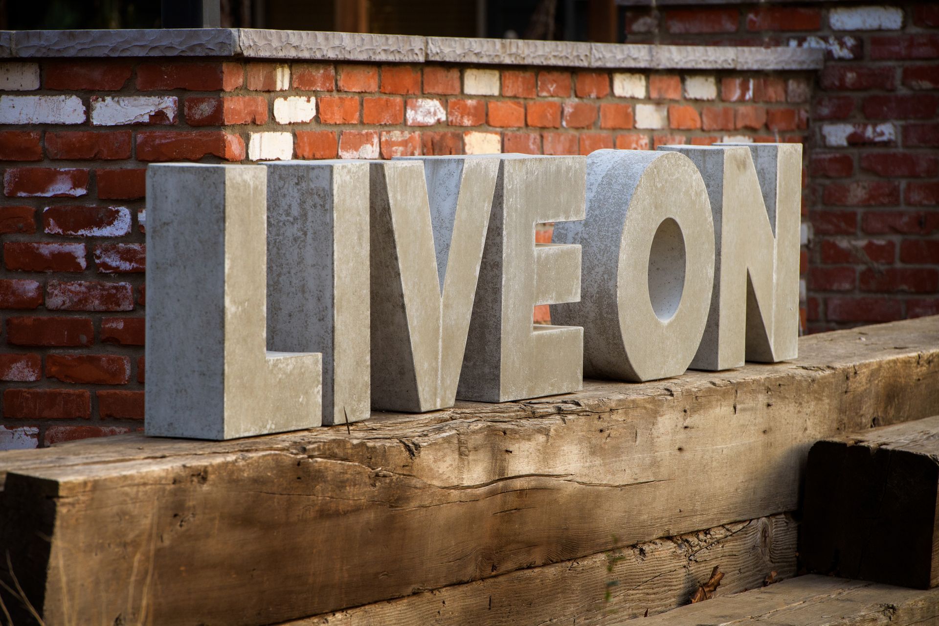 photo showing the Live On artwork