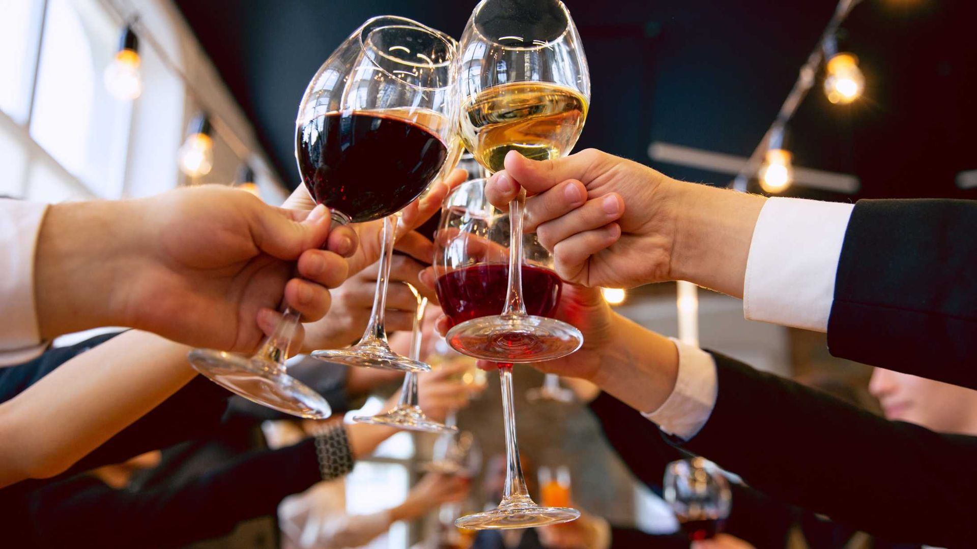 A group of people are toasting with wine glasses.