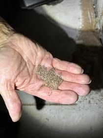 Hand holding a pile of brown, granular debris near a dark opening.