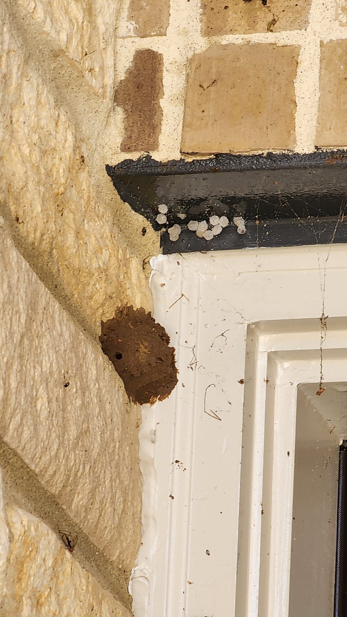 Corner of a building with light brown brick and white trim; dark brown spot on the side.