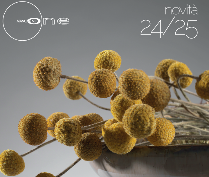 Un'immagine di un vaso pieno di palline gialle e la data 24/25