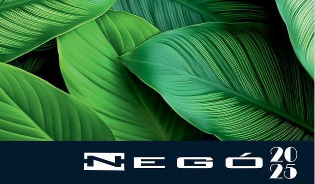 Un poster con foglie verdi e l'anno 2020