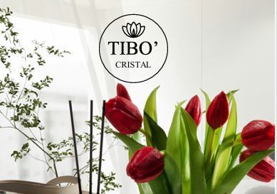 Un'anatra, una balena, una tartaruga e un elefante sono seduti su un tavolo