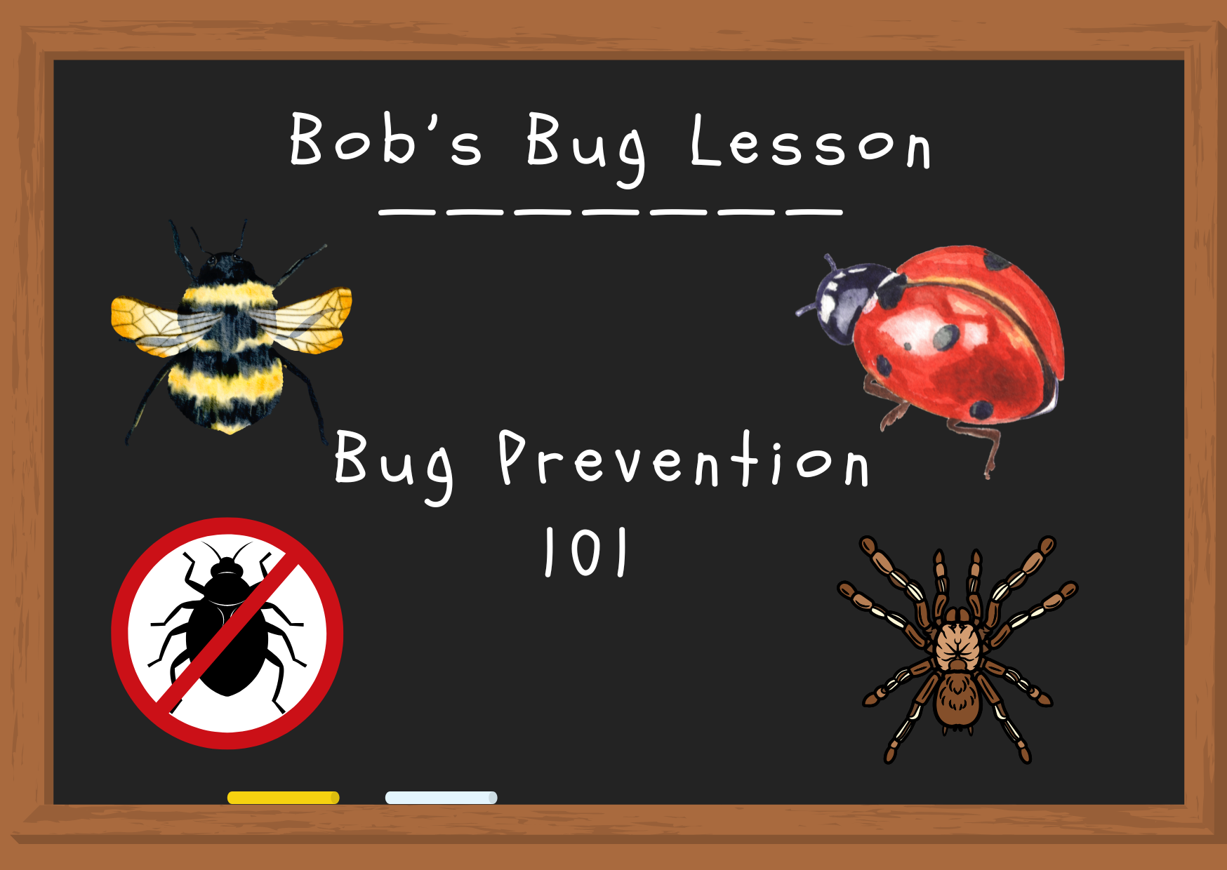 Bob 's bug lesson bug prevention 101 written on a blackboard