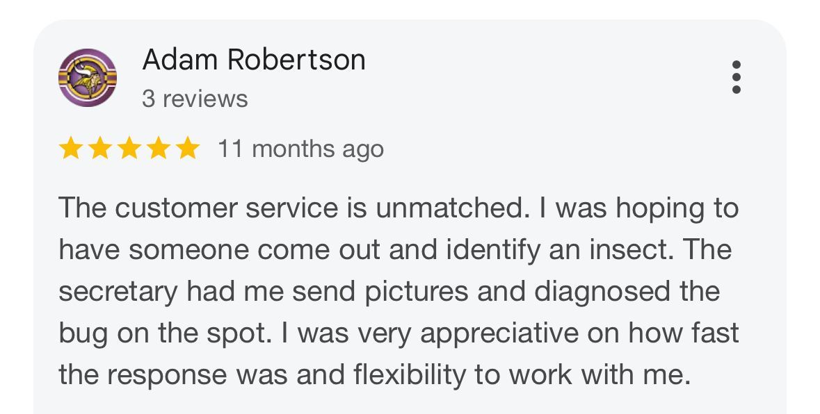 Reviews