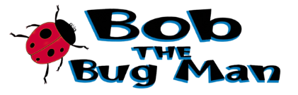 Bob the bug man logo with a ladybug on it